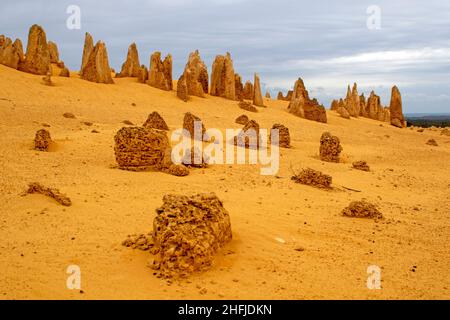 Les Pinnacles, le Parc National de Nambung Banque D'Images