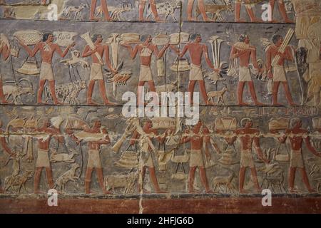 Scènes de la tombe de Mehu, Saqqara, Egypte Banque D'Images