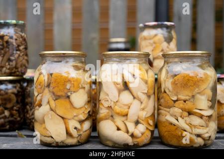 Les champignons porcini en conserve dans un pot sont sur une étagère en bois. Banque D'Images