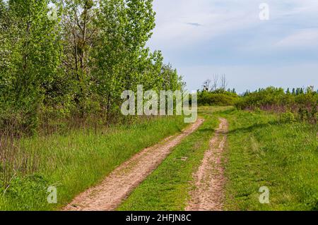 Route de campagne de terre, le long de la forêt, devant le ciel ouvert.Paysage rural d'été. Banque D'Images