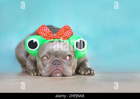 Joli chien Bulldog français avec un drôle de grenouille costume serre-tête devant le mur bleu Banque D'Images