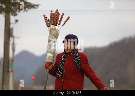 (220117) -- DANDONG, le 17 janvier 2022 (Xinhua) -- Un villageois se prépare à vendre des haws enrobés de sucre faits maison sur un « train bas » à la gare de Shicheng, dans la ville de Fengcheng, dans la province de Liaoning, au nord-est de la Chine, le 15 janvier 2022.Les trains n° 4317 et 4318 sont des trains « low trains » qui circulent entre Tonghua, dans la province de Jilin, et Dandong, dans la province de Liaoning, dans le nord-est de la Chine.À la veille du nouvel an lunaire, les autorités ferroviaires locales ont organisé des marchés à bord qui permettent aux villageois vivant le long de la route des trains de vendre des marchandises aux passagers sans quitter les wagons.(Xinhua/Yang Qing) Banque D'Images