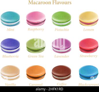 Collection de vecteurs.Des macarons colorés aux goûts différents. Illustration de Vecteur