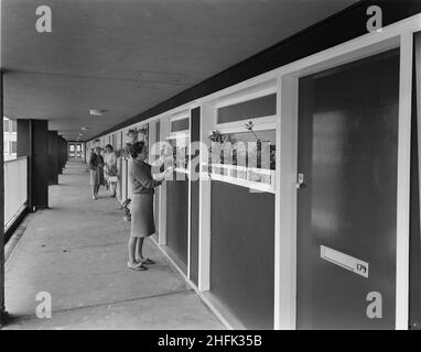 Hahnemann court, Carley Hill Road, Southwick, Sunderland, 10/10/1966.Un balcon d'accès sur un développement de basse élévation des appartements 'sectra' à Hahnemann court, avec des résidents qui tendent des plantes dans des vitrines à l'extérieur de leurs appartements.'sectra&#x2019; était un coffrage en acier préfabriqué français pour les plats dont John Laing et son Ltd ont acquis les droits britanniques en 1962.Hahnemann court a été construit par Laing pour Sunderland County Borough Council.Le contrat a été approuvé en 1964 et la construction des appartements a pris 18 mois.Il y avait 208 appartements dans quatre blocs avec un quadrilatère au centre.Les appartements étaient bu Banque D'Images