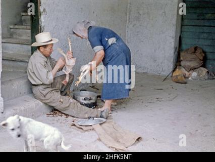 Un couple plus âgé a pluck plumes de deux petits poulets, prêts pour leur pot de cuisson en aluminium, dans leur petite exploitation à Podere Capanne, à l'est de Rome, en Italie, vers 1960.Leur chien ne montre pas beaucoup d’intérêt, mais la curiosité a été meilleure qu’un canard qui regarde ce qui se passe à côté du genou de l’homme !Cette image est tirée d'une ancienne transparence amateur 35mm couleurs – une photographie vintage 1950/60s. Banque D'Images