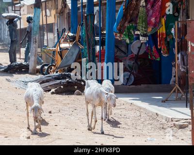 Sénégal, Afrique - février 2019 : la vie quotidienne dans les rues des villes africaines. Banque D'Images