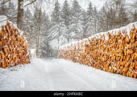 Nachwachsender Rohstoff Holzpolter im verschneiten Winterwald Banque D'Images