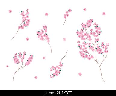 Sakura Blossom branches ensemble isolé.Collection vectorielle de fleurs Sakura en fleurs.Motifs floraux sur fond blanc. Illustration de Vecteur