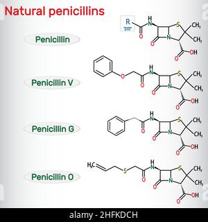Pénicillines naturelles, molécule de médicament antibiotique.Benzylpénicilline , phénoxyméthylpénicilline, almecilline.Formule chimique structurelle.Illustration vectorielle Illustration de Vecteur