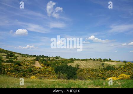 Paysage à Molise près de Macchiagodena et Frosolone, province d'Isernia, en juin Banque D'Images