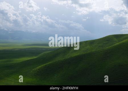 belle pente verte sous les ombres du soleil.À la prairie de Nalati, dans le Xinjiang en Chine Banque D'Images