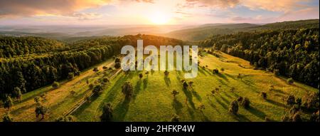 Panorama aérien du paysage après le lever du soleil : paysage magnifique avec le soleil, arbres sur des prairies dans une lumière chaude jetant de longues ombres, entouré de forêts Banque D'Images