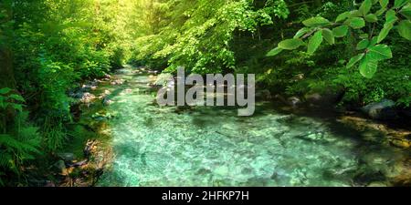 Ruisseau turquoise tranquille qui coule à travers une forêt verte, encadrée par un feuillage vibrant, avec des rayons de soleil éclairant la scène d'en haut Banque D'Images