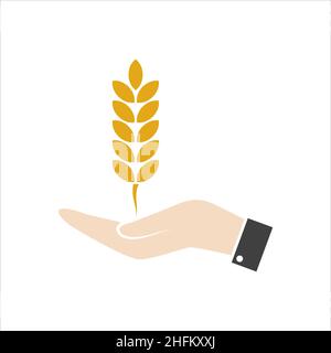 Main humaine avec oreilles de blé.Agriculteur tenant du grain mûr.Récolte dans les terres agricoles.Homme vérifiant la récolte.Saison d'automne.Agriculture ou concept d'agriculture.AGRI Illustration de Vecteur