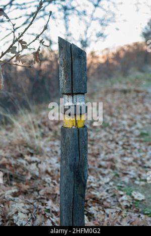 Panneau de signalisation de la route jaune marque blanche petite route locale sculptée dans le bois Banque D'Images