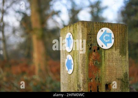 Gros plan d'un panneau public de la chaussée : une flèche bleue avec un fer à cheval sur un poteau de marqueur de bois, Royaume-Uni.Ouvert aux randonneurs, équestres et cyclistes. Banque D'Images