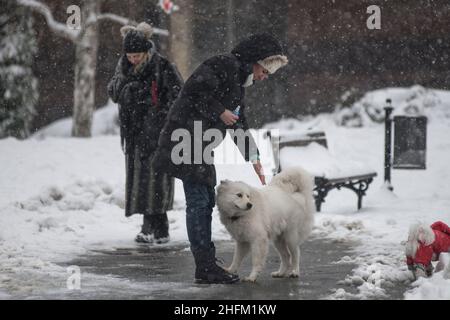 Hiver en Serbie : les femmes avec leurs chiens dans le parc Saint-Sava, Belgrade Banque D'Images