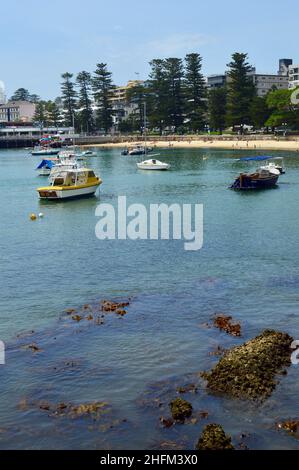 Vue sur le port de Sydney, près de l'Esplanade est, dans la banlieue côtière de Sydney, à Manly, en Nouvelle-Galles du Sud Banque D'Images