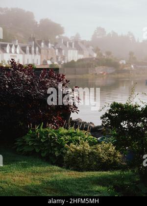 Le paysage de jardin de microclimat tempéré d'été de Plockton et Loch Carron à Lochalsh, Wester Ross, West Highlands Scotland, Royaume-Uni Banque D'Images