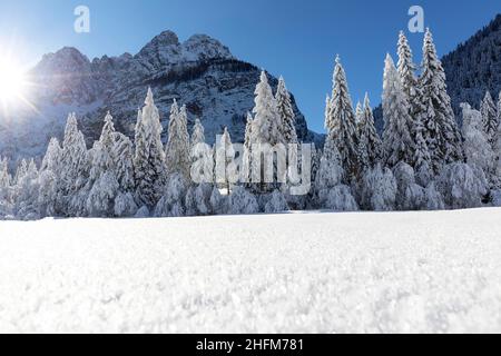 Paysage d'hiver dans la vallée de Krnica, Slovénie Banque D'Images