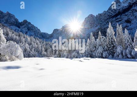 Paysage d'hiver dans la vallée de Krnica, Slovénie Banque D'Images