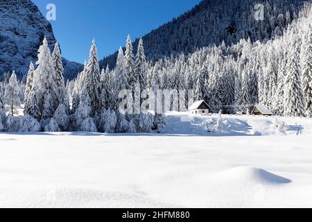 Paysage d'hiver dans la vallée de Krnica, Slovénie Banque D'Images