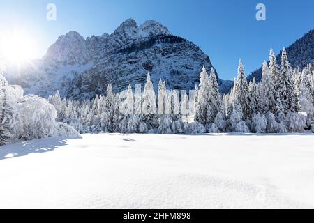 Paysage d'hiver dans la vallée de Krnica, Slovénie Banque D'Images