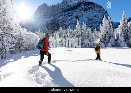 Paysage d'hiver dans la vallée de Krnica, Slovénie Banque D'Images