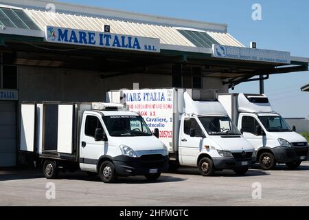 Mauro Scrobogna /Lapresse 01 juillet 2020 et#xA0; Rome, Italie Actualités Centre agroalimentaire de Rome (RCA) sur la photo: Marché du poisson au Centre agroalimentaire de Rome (RCA), le plus grand marché de gros d'Italie Banque D'Images