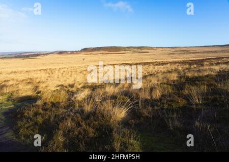 À travers une large étendue de grande herbe de bruyère brune vers un bord blanc lointain dans le Derbyshire Peak District Banque D'Images