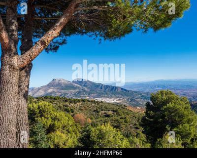 La municipalité de Malaga de Yunquera vue du Parc National de la Sierra de las Nieves. Banque D'Images