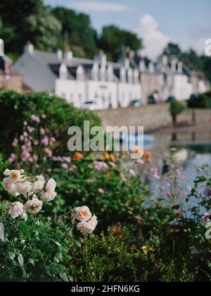 Le paysage de jardin de microclimat tempéré d'été de Plockton et Loch Carron à Lochalsh, Wester Ross, West Highlands Scotland, Royaume-Uni Banque D'Images