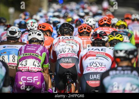 Fabio Ferrari/Lapresse 14 octobre 2020 Italie Sport Cycling Giro d'Italia 2020 - 103th Edition - Stage 11 - de Porto Sant'Elpidio à Rimini dans le pic: Pendant la course Banque D'Images