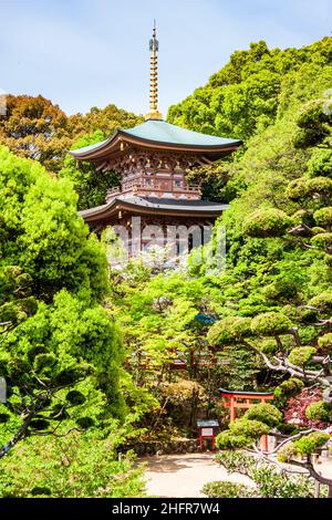 Le temple historique important et populaire de Suma-dera au Japon.La pagode en bois qui se trouve à moitié cachée dans les arbres au printemps sous un ciel bleu. Banque D'Images