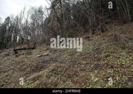 Lapresse - Alice Durigatto 07 décembre 2020 Carnia, Udine (Italie) Actualités le Friuli Venezia Giulia est inondé par le mauvais temps.Sur les photos: Les zones les plus endommagées et les vues différentes de la rivière Tagliamento. Banque D'Images