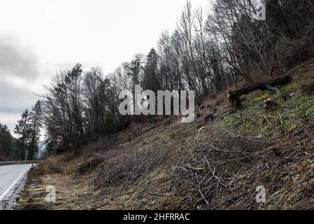 Lapresse - Alice Durigatto 07 décembre 2020 Carnia, Udine (Italie) Actualités le Friuli Venezia Giulia est inondé par le mauvais temps.Sur les photos: Les zones les plus endommagées et les vues différentes de la rivière Tagliamento. Banque D'Images