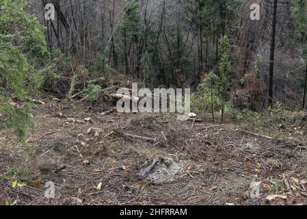 Lapresse - Alice Durigatto 07 décembre 2020 Carnia, Udine (Italie) Actualités le Friuli Venezia Giulia est inondé par le mauvais temps.Sur les photos: Les zones les plus endommagées et les vues différentes de la rivière Tagliamento. Banque D'Images