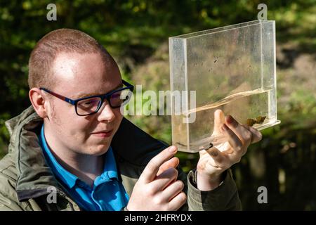 Roermond, pays-Bas - 7 octobre 2021 : des étudiants néerlandais effectuent des recherches sur l'eau dans le domaine.Recherche de petits animaux dans l'eau Banque D'Images