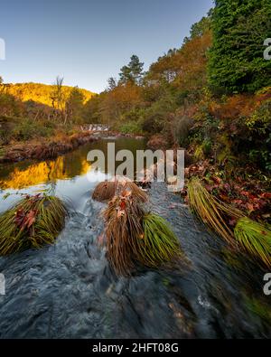 Mestres Weir de Piscredo sentier de randonnée sur un paysage automnal Banque D'Images