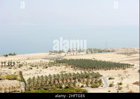 La côte de la Mer Morte près de la réserve naturelle d'Ein Gedi en Israël Banque D'Images