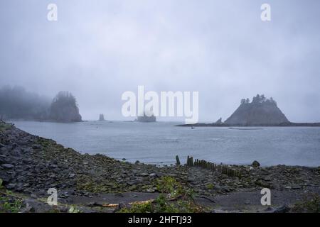 La Push Beach est une série de trois plages près de la communauté de la Push, Washington, sur la côte Pacifique des États-Unis. La plage est la plus belle Banque D'Images