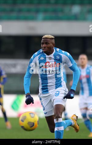 Paola Garbuio/Lapresse 24 janvier 2021 Vérone, Italie football sportif Hellas Verona vs Napoli -Ligue italienne de football A TIM 2020/2021 - Stade Bentegodi.Dans la photo: Oimhen victor Banque D'Images