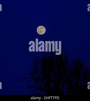 Dromore, County Down, Irlande du Nord, Royaume-Uni.17 janvier 2022.Janvier pleine lune également connue sous le nom de Wolf Moon dans le ciel de nuit au-dessus du comté vers le bas.Crédit : CAZIMB/Alamy Live News. Banque D'Images