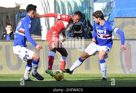 Lapresse - Tano Pecoraro 14 février 2021 City Genova - (Italie) Sport Soccer Sampdoria vs Fiorentina Championnat italien de football League A TIM 2020/2021 - "Luigi Ferraris" Stade dans le pic: Kouame Banque D'Images