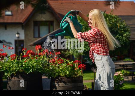 Belle jeune femme aux cheveux blonds arroser de belles fleurs sur la cour arrière.Femme gardner prenant soin des plantes en fleurs à l'extérieur.Concept de personnes et de travail saisonnier. Banque D'Images