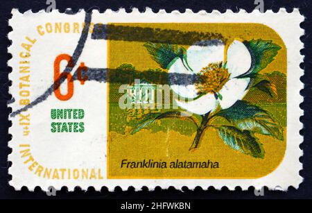 ÉTATS-UNIS D'AMÉRIQUE - VERS 1969 : un timbre imprimé aux États-Unis montre Franklin Tree, Franklinia Alatamaha, Floraison Tree, vers 1969 Banque D'Images