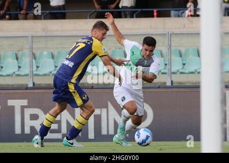 Paola Garbuio/Lapresse 21 août 2021 - Verona, Italie Sport, Soccer Hellas Verona vs Sassuolo- Italien Serie A football Championship 2021/2022 - Marcantonio Bentegodi Stadium.Sur la photo: pawel dawidowicz,Raspadori giacomo Banque D'Images