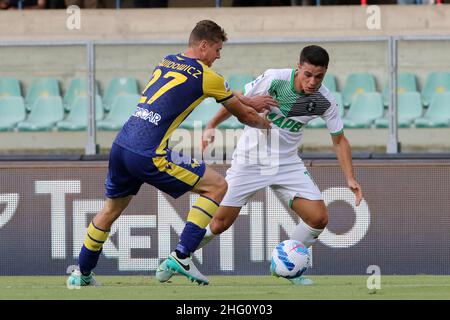 Paola Garbuio/Lapresse 21 août 2021 - Verona, Italie Sport, Soccer Hellas Verona vs Sassuolo- Italien Serie A football Championship 2021/2022 - Marcantonio Bentegodi Stadium.Sur la photo: pawel dawidowicz,Raspadori giacomo Banque D'Images