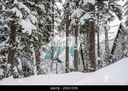 Parc national Yoho, Canada - décembre 23 2021 : cabane en bois et cabane à flanc de lac Emeraude gelé se cachant dans une forêt d'hiver surmontée par le mont rockies Banque D'Images