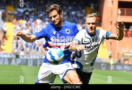 Lapresse - Tano Pecoraro 12 septembre 2021 City Genova - (Italie) Sport Soccer Sampdoria vs Inter-Italian football Championship League A TIM 2021/2022 - "Luigi Ferraris" Stade dans le pic: Bereszynsky bartosz Banque D'Images